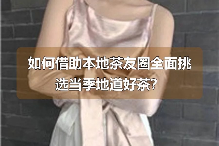如何借助本地茶友圈全面挑选当季地道好茶？